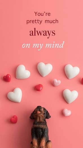 Who wouldn’t love this?